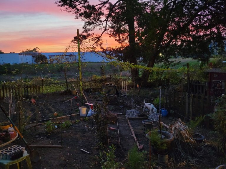 Garden Notes 2022
